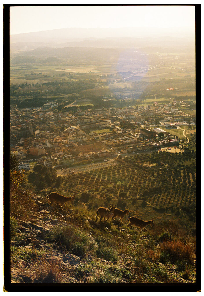 l'entorn de torroella de montgri